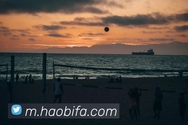 App Interface Preview